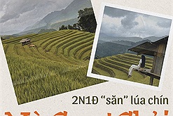 Đi "săn" lúa chín Mù Cang Chải với lịch trình 2N1Đ để biết cảm giác "kết thúc chuyến đi vẫn thòm thèm"