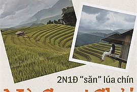 Đi "săn" lúa chín Mù Cang Chải với lịch trình 2N1Đ để biết cảm giác "kết thúc chuyến đi vẫn thòm thèm"