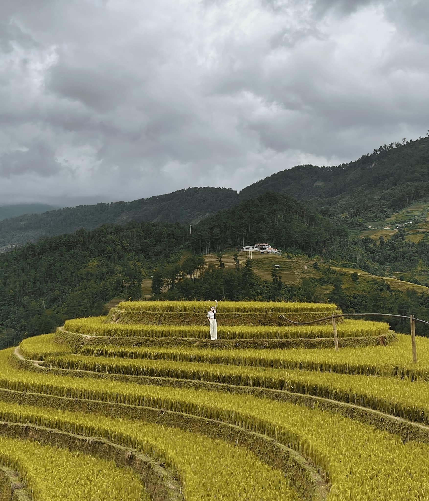 Đi săn lúa chín Mù Cang Chải với lịch trình 2N1Đ