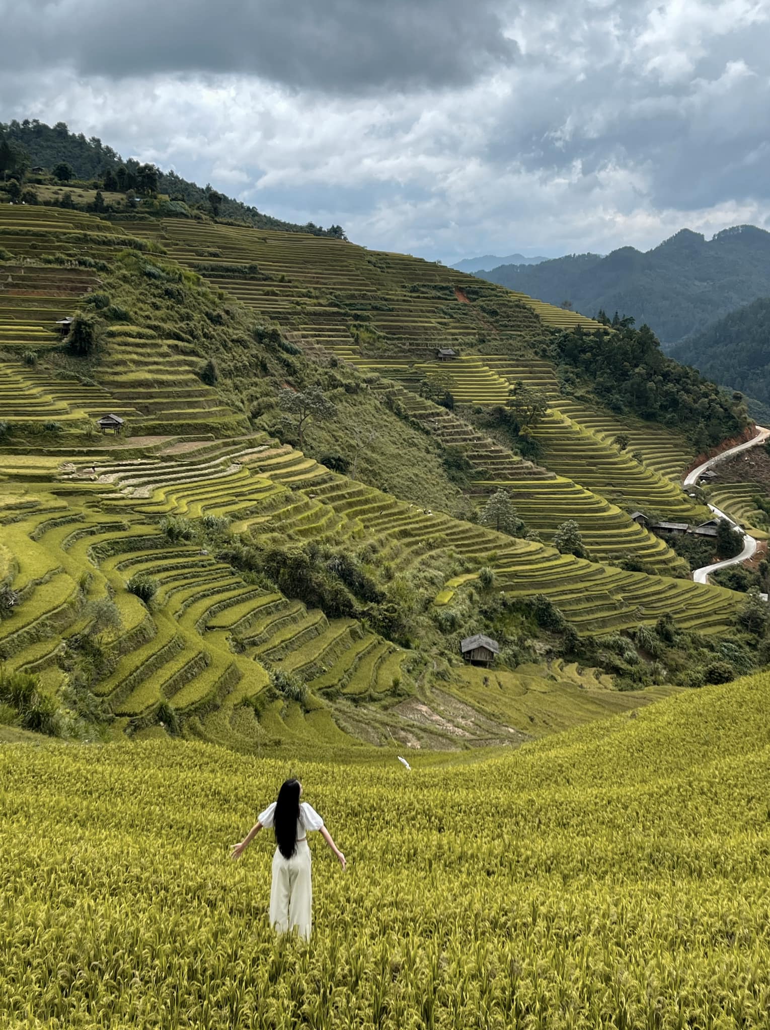 Đi săn lúa chín Mù Cang Chải với lịch trình 2N1Đ