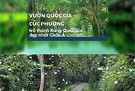 Vườn quốc gia Cúc Phương được vinh danh Vườn quốc gia hàng đầu châu Á