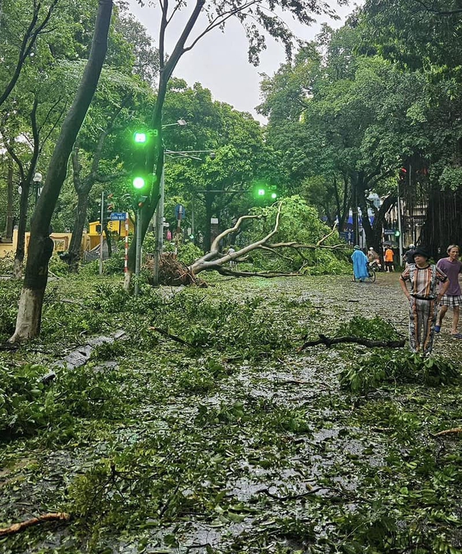 Thủ đô bị siêu bão Yagi tàn phá