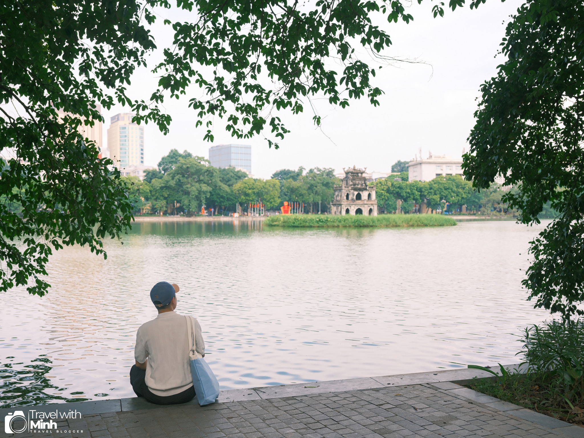 tâm sự bên những thân cây đổ