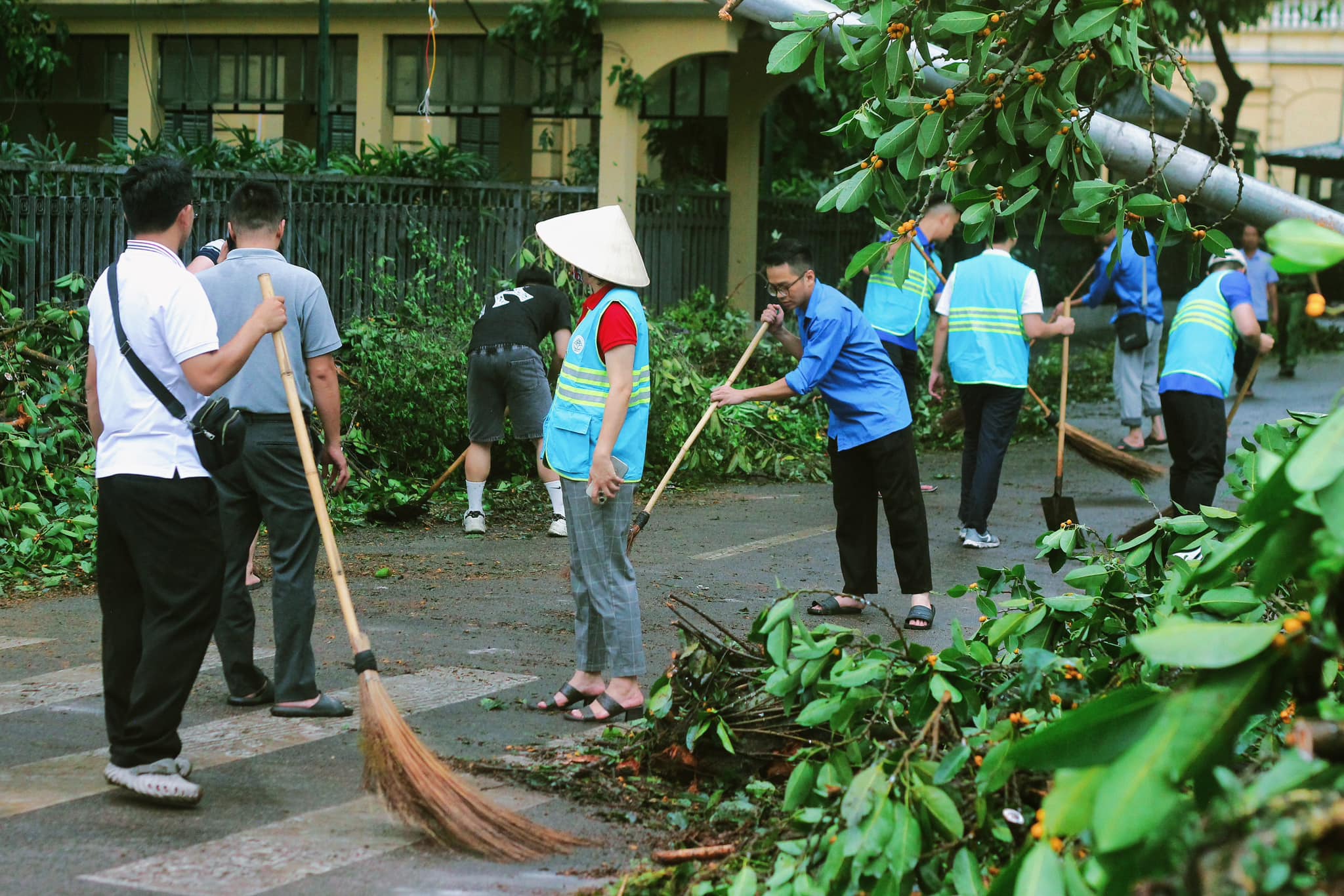 tâm sự bên những thân cây đổ