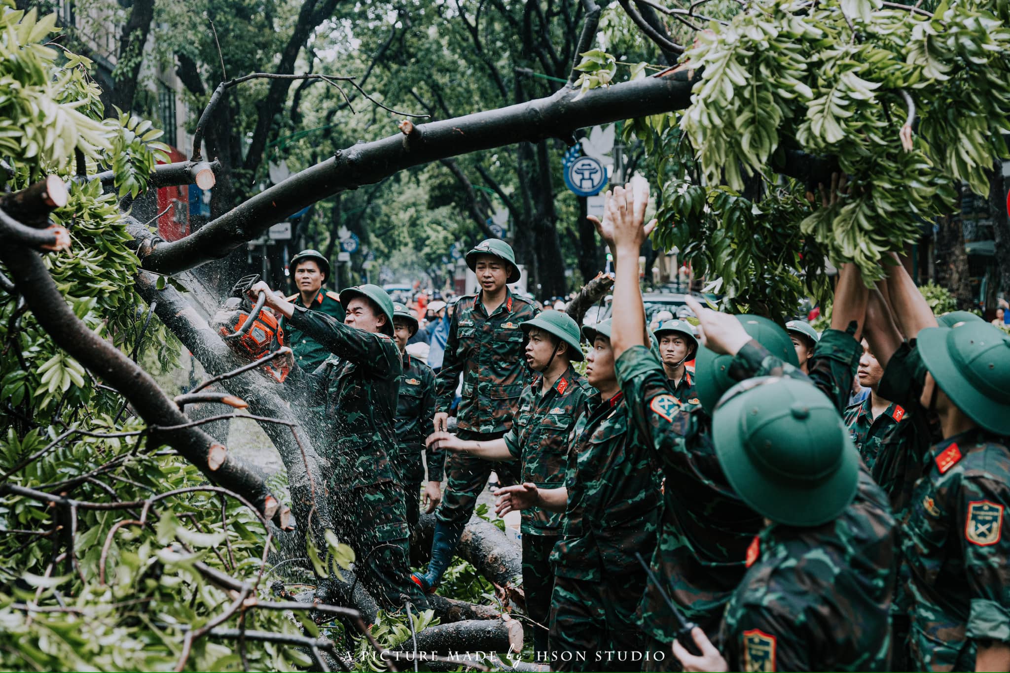 tâm sự bên những thân cây đổ