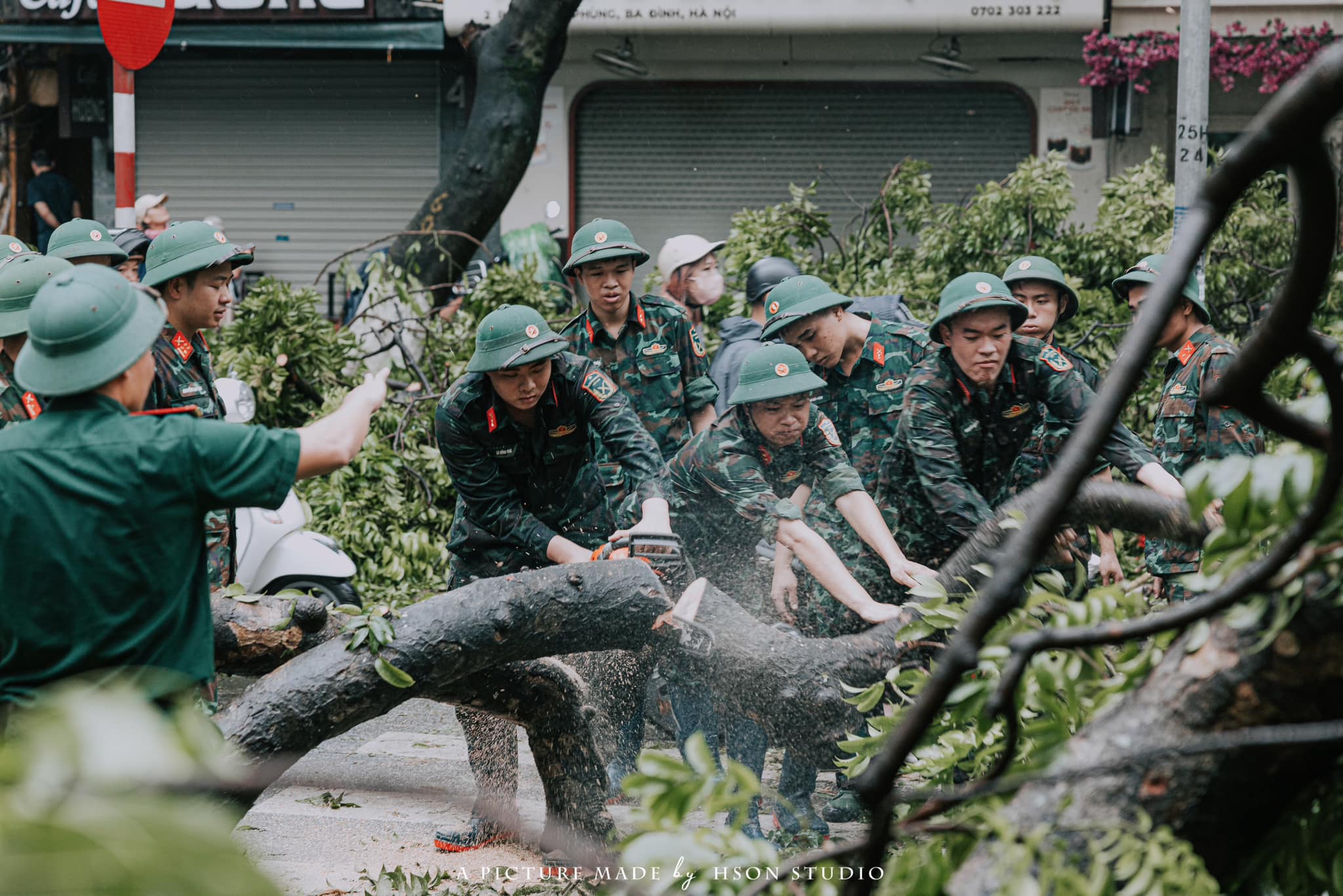 tâm sự bên những thân cây đổ