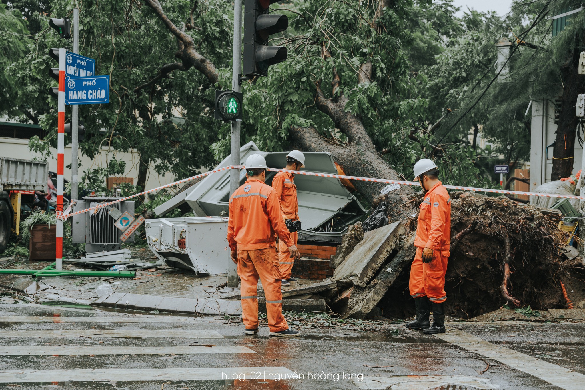 tâm sự bên những thân cây đổ