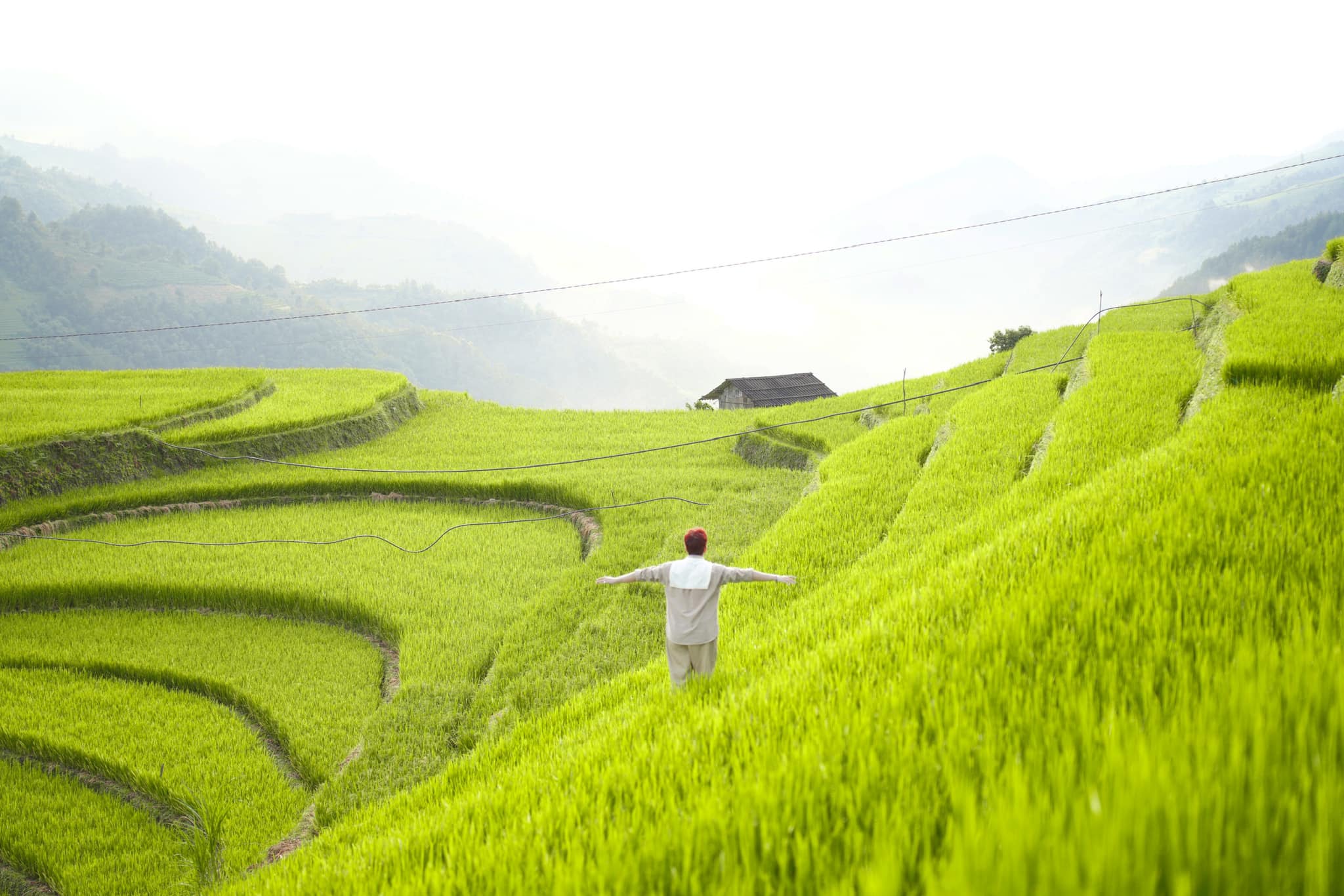 5 lý do không thể bỏ lỡ mùa vàng Mù Cang Chải