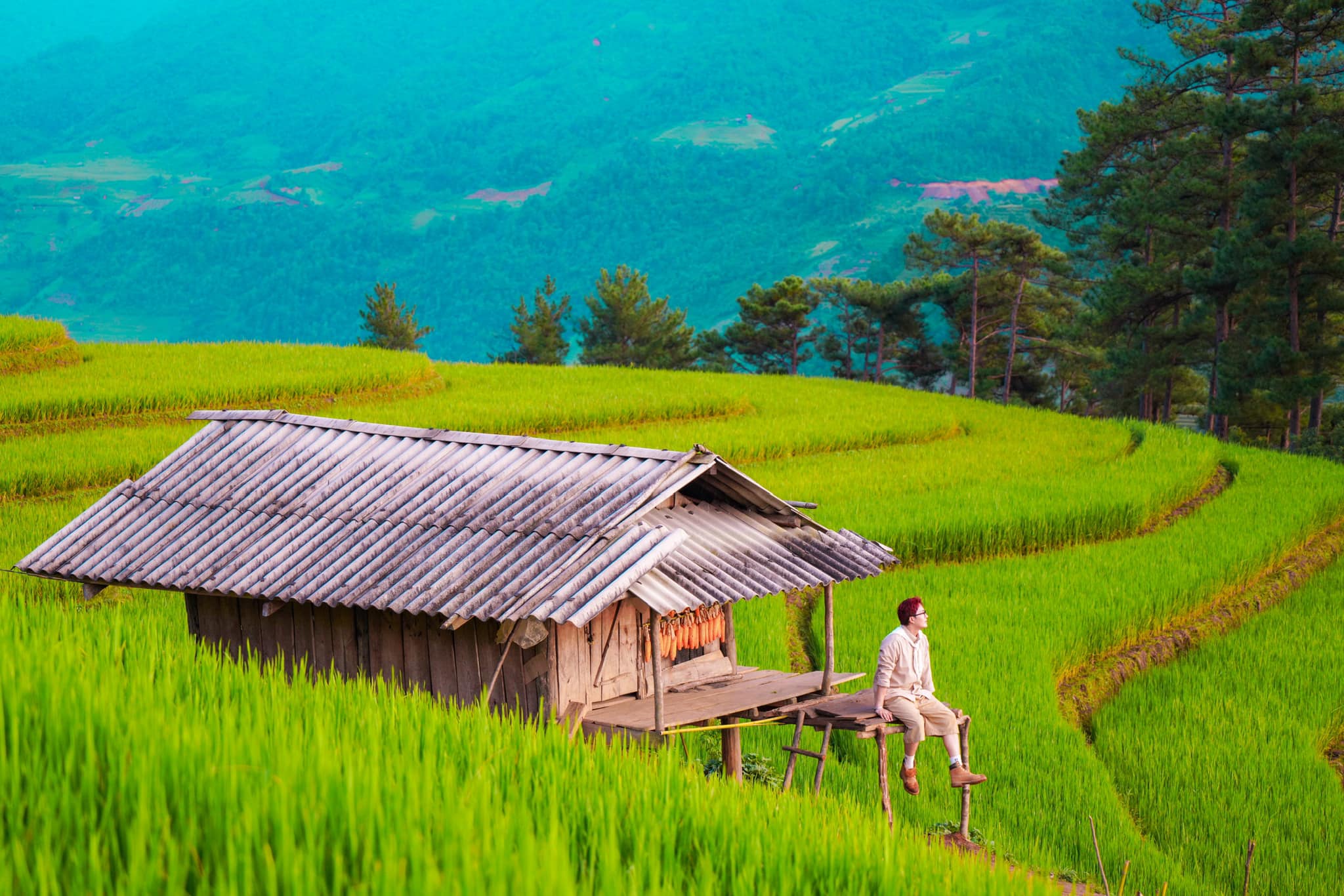 5 lý do không thể bỏ lỡ mùa vàng Mù Cang Chải