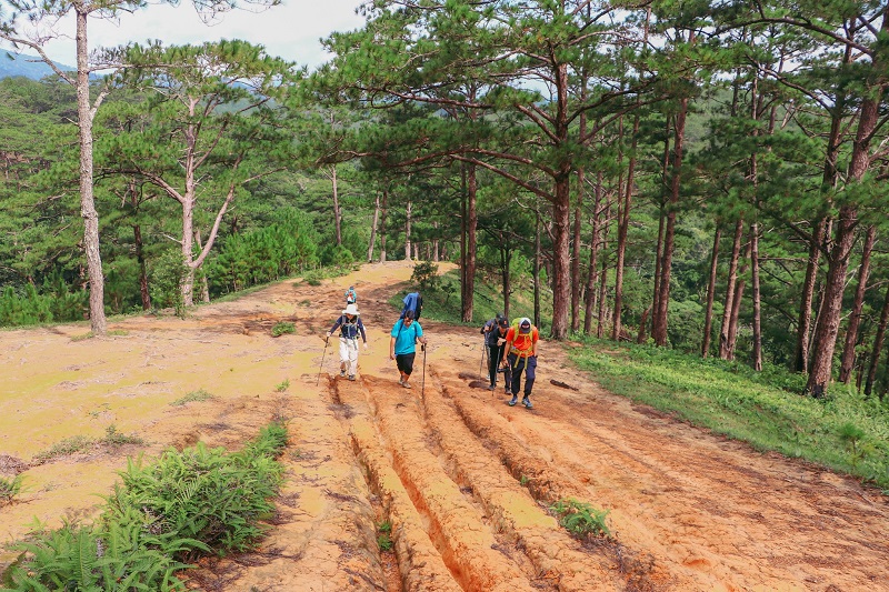 Lịch trình 2N2Đ trekking Tà Năng - Phan Dũng