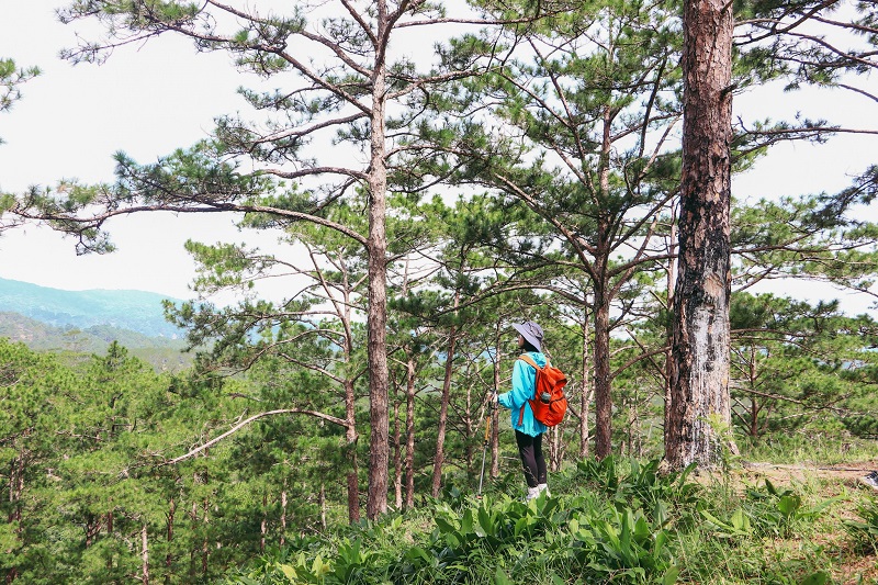 Lịch trình 2N2Đ trekking Tà Năng - Phan Dũng