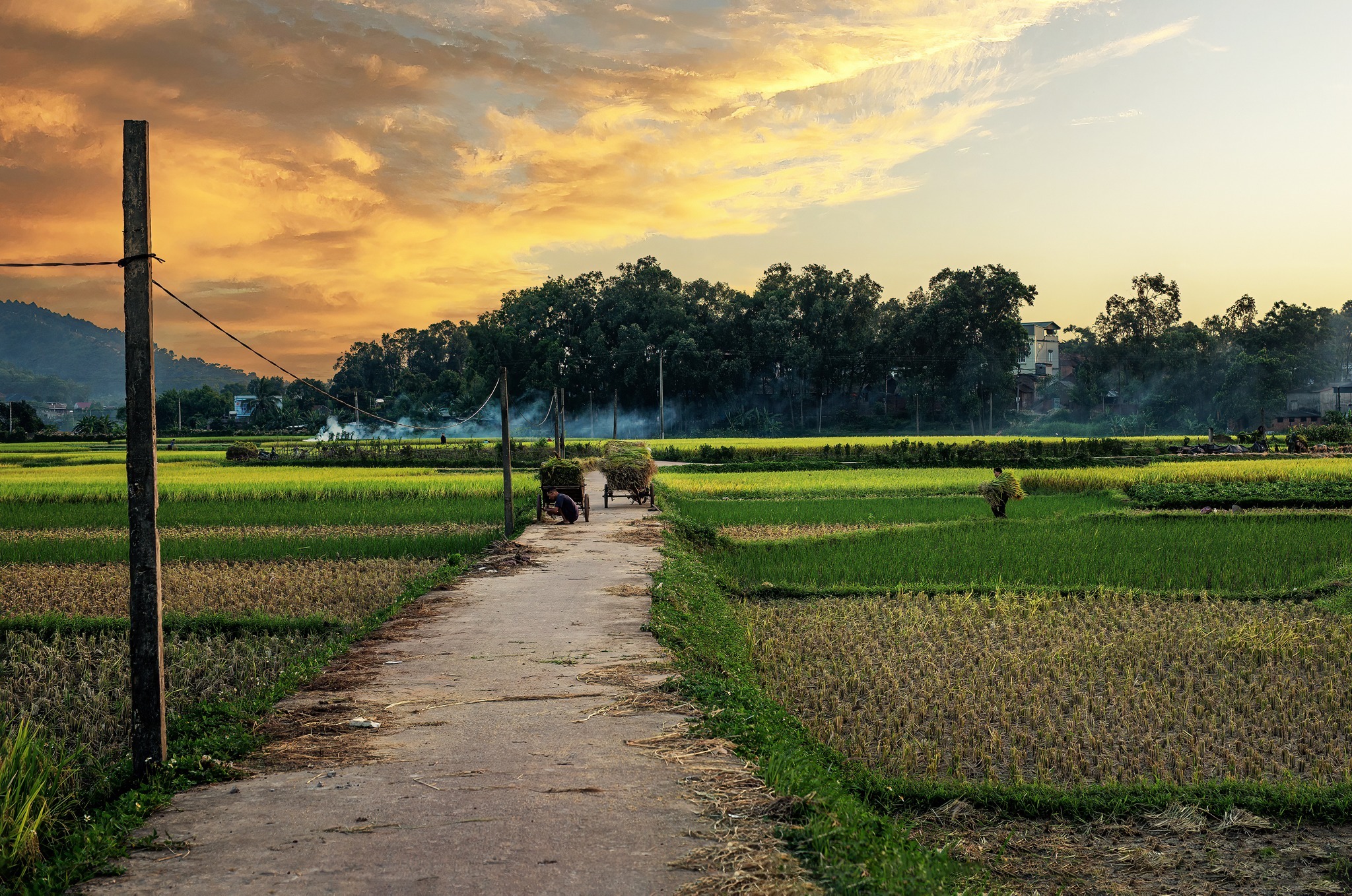 Ngôi làng thuần cổ Việt Nam