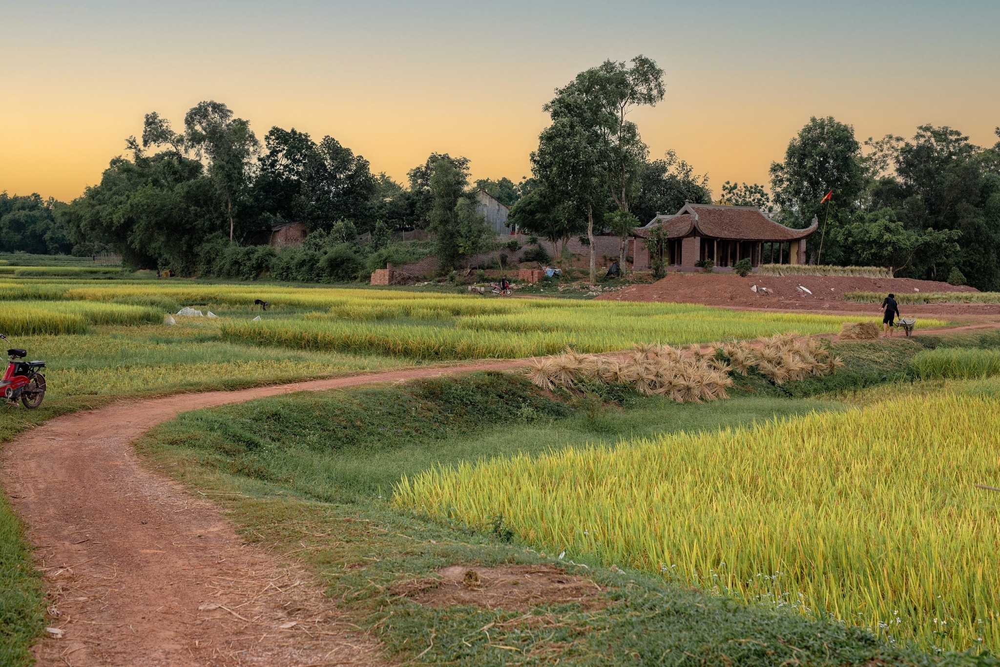 Ngôi làng thuần cổ Việt Nam