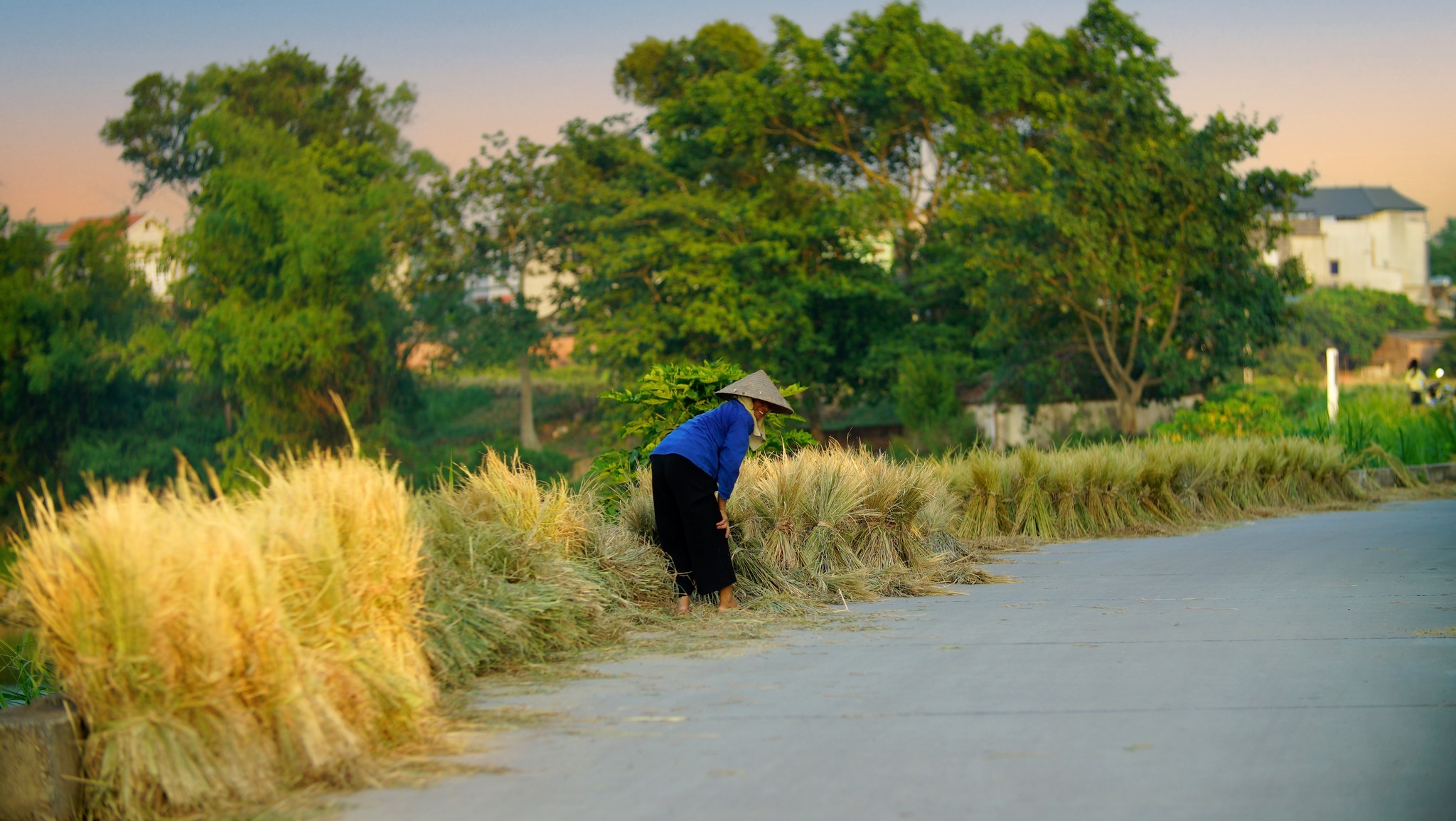 Ngôi làng thuần cổ Việt Nam