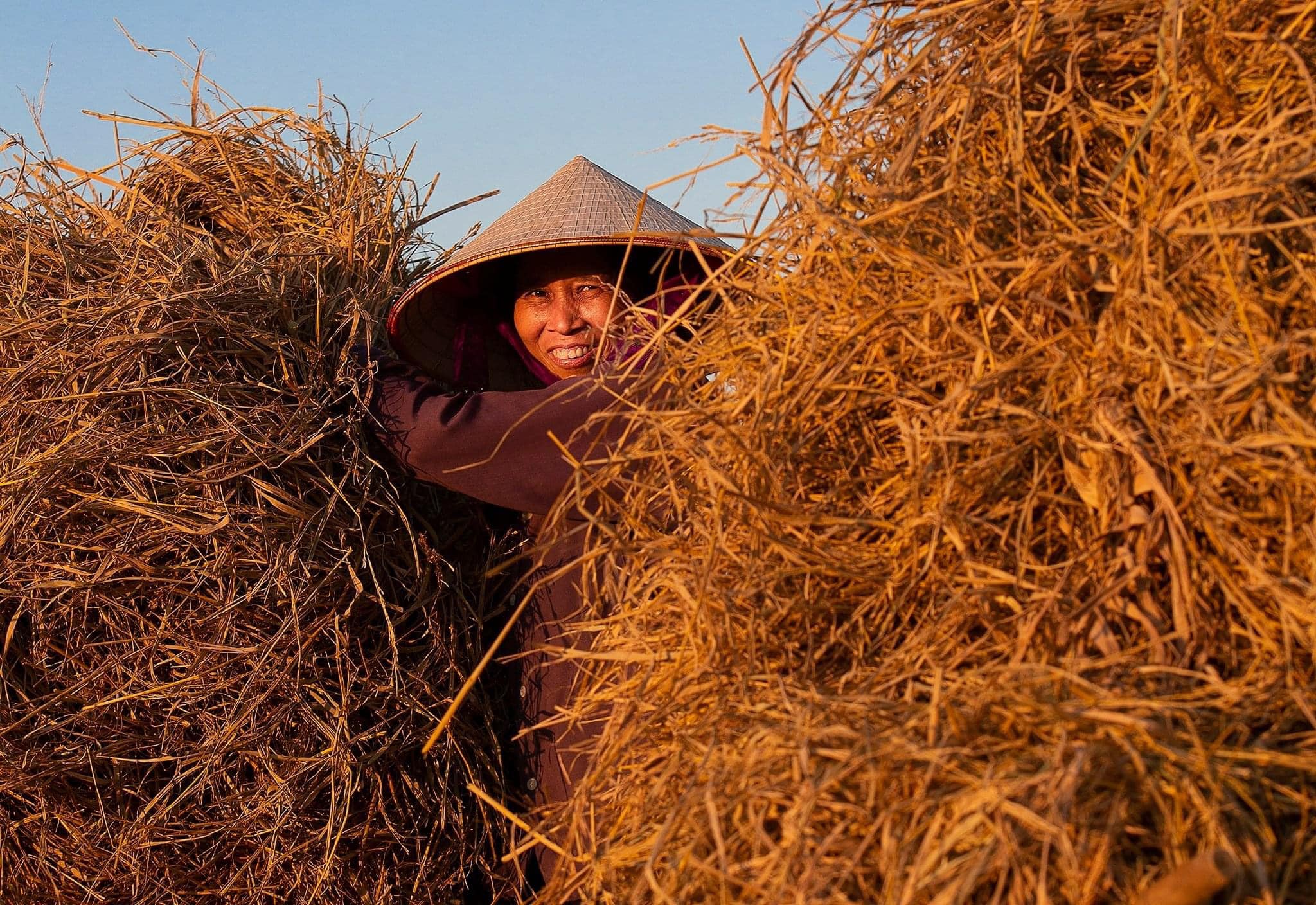 Ngôi làng thuần cổ Việt Nam