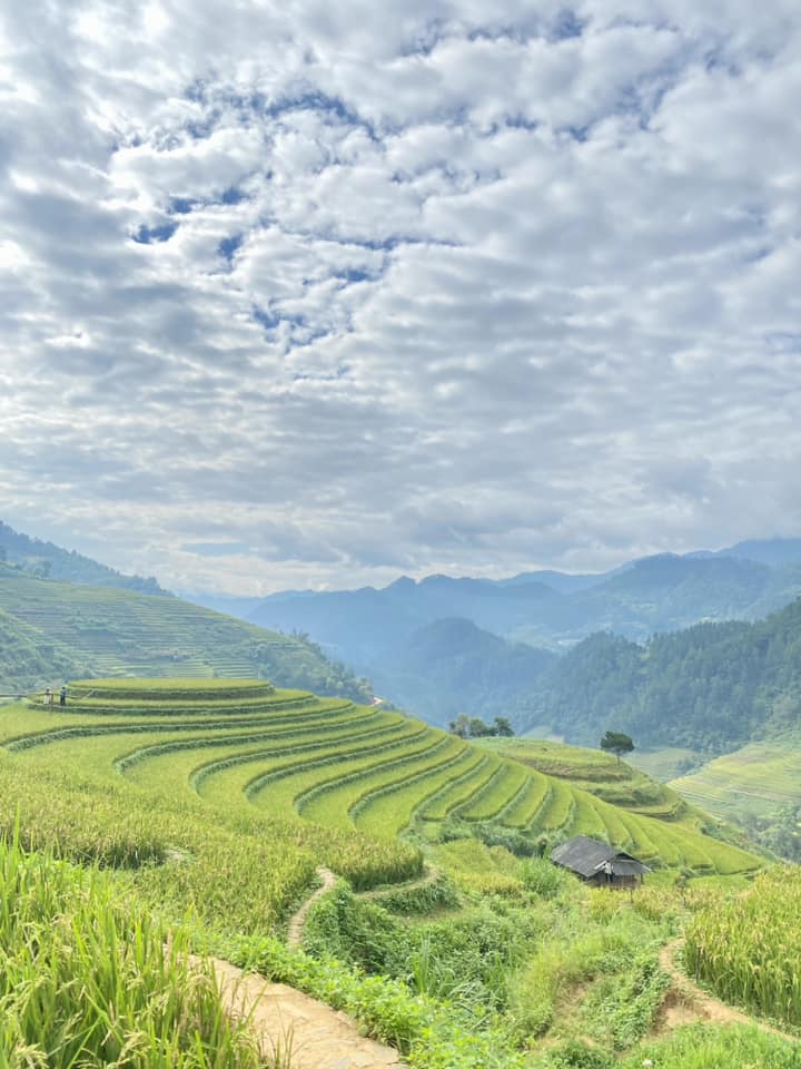 Lịch trình 3N2Đ đi hết Mù Cang Chải