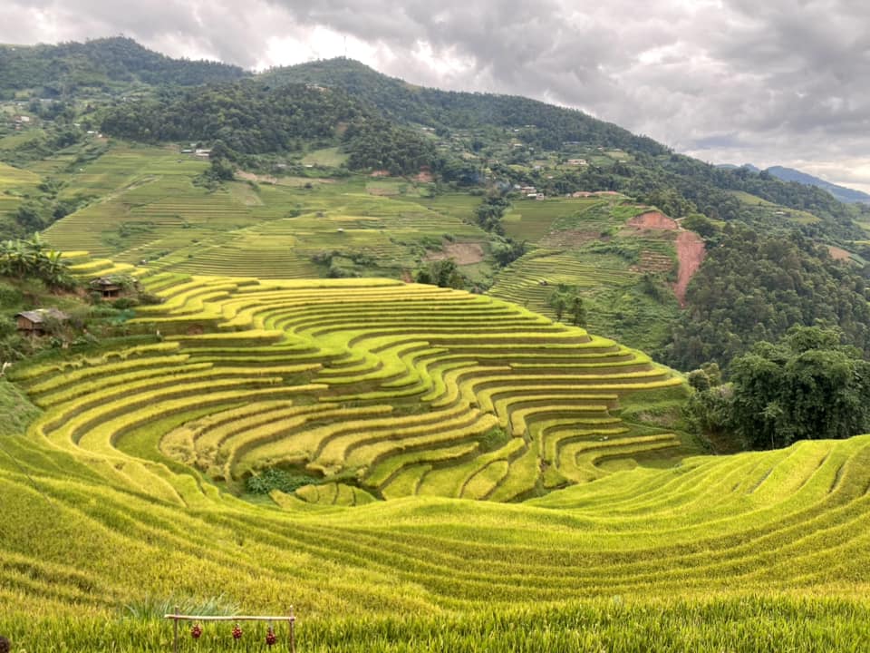 Lịch trình 3N2Đ đi hết Mù Cang Chải