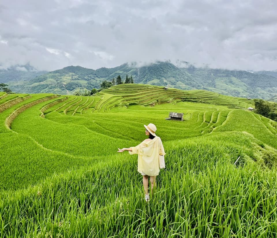 Lịch trình 3N2Đ check-in Hoàng Su Phì