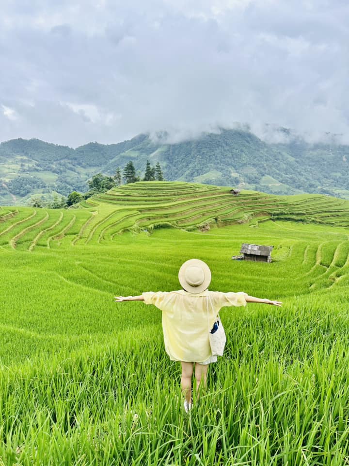 Lịch trình 3N2Đ check-in Hoàng Su Phì