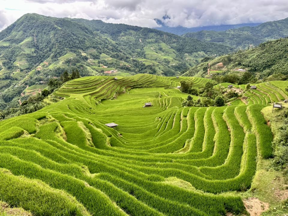 Lịch trình 3N2Đ check-in Hoàng Su Phì