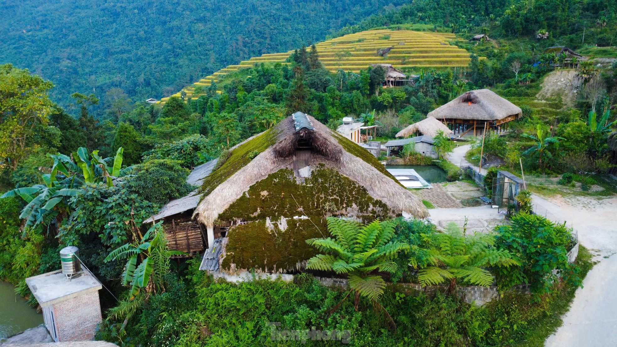 Những mái nhà lợp rêu phủ quanh năm ở thôn Xà Phìn 