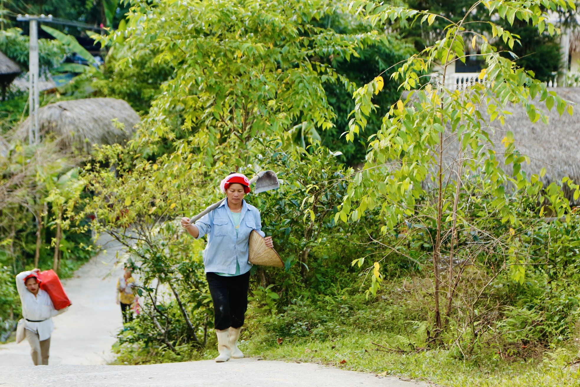 Những mái nhà lợp rêu phủ quanh năm ở thôn Xà Phìn 