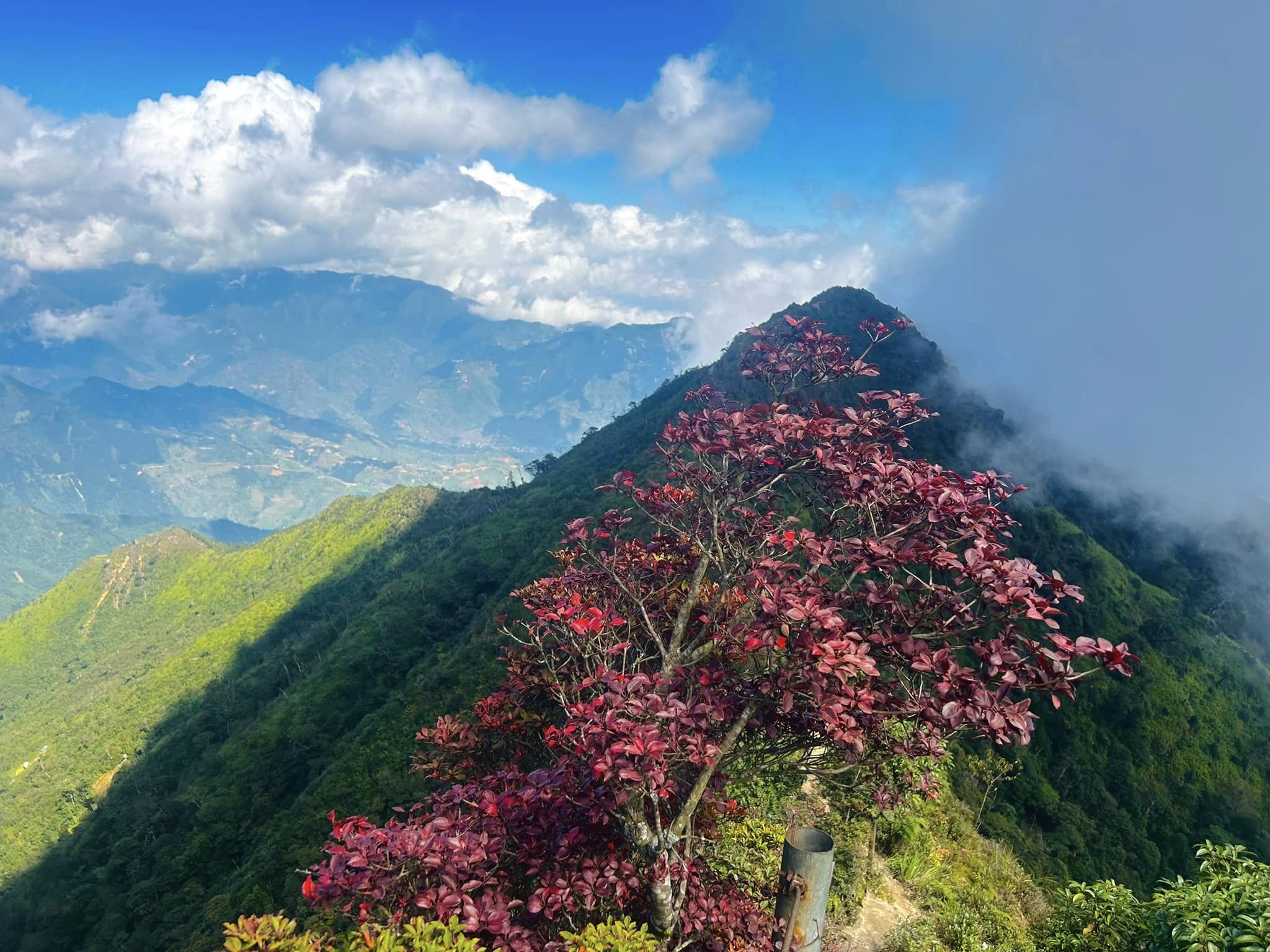 Lịch trình 2N1Đ chinh phục đỉnh Tà Xùa Yên Bái