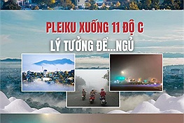 Thời tiết thành phố ngủ ngon nhất Việt Nam xuống còn 11 độ C, cực kỳ thích hợp để ngủ