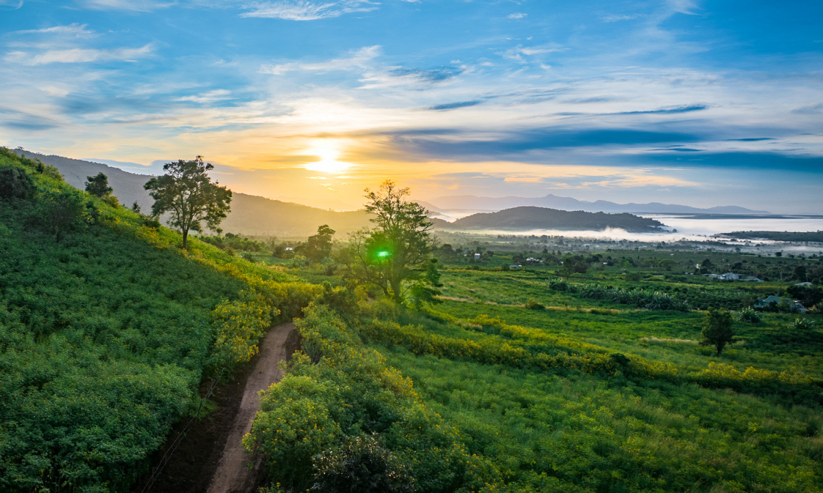 Núi lửa Chư Đăng Ya mùa hoa dã quỳ