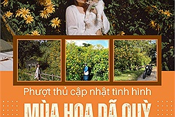 Phượt thủ đua nhau cập nhật tình hình mùa hoa dã quỳ Đà Lạt gây "sốt ruột" cộng đồng mạng