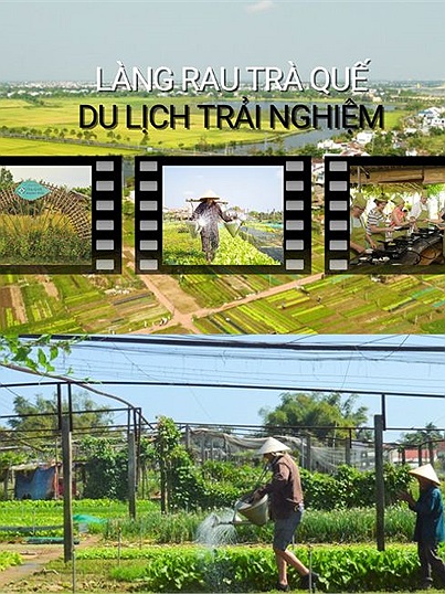 Trải nghiệm trồng rau, nuôi cá và nấu ăn khi đến với làng rau 400 tuổi ở Hội An