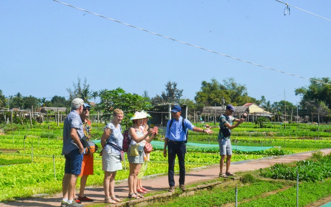 Làng rau 400 tuổi của Hội An