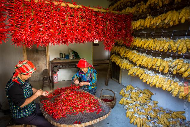 Làng cổ Hoàng Lĩnh với 2 gam màu độc đáo