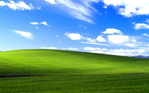 Đồng cỏ xanh mướt tại Mộc Châu hệt như hình nền Windows