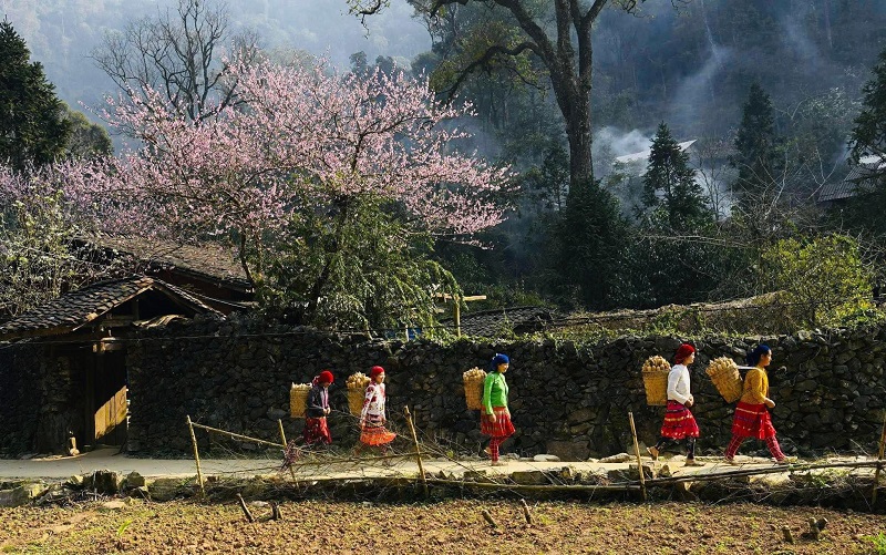 nhất định phải đi Hà Giang vào mùa xuân