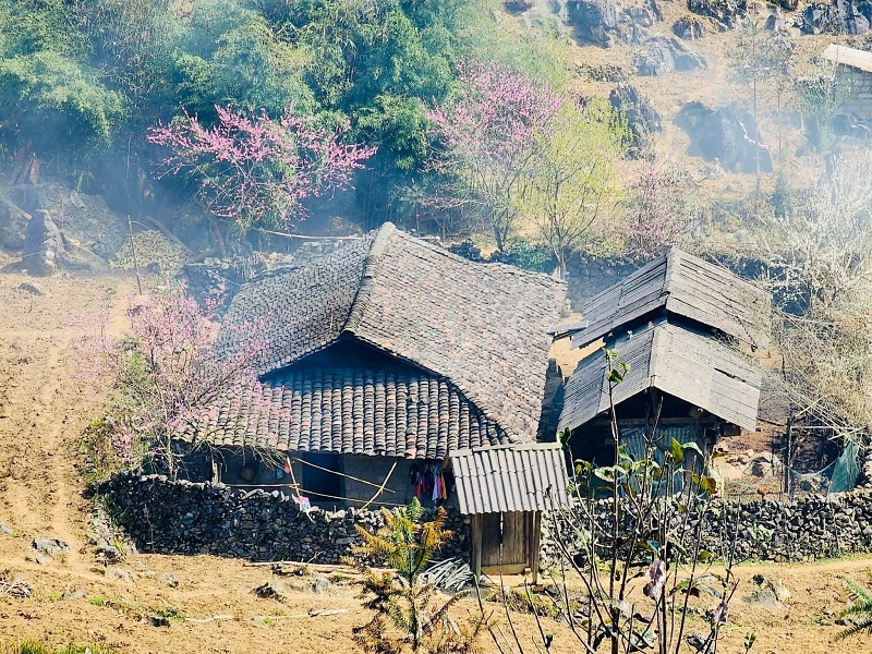 nhất định phải đi Hà Giang vào mùa xuân