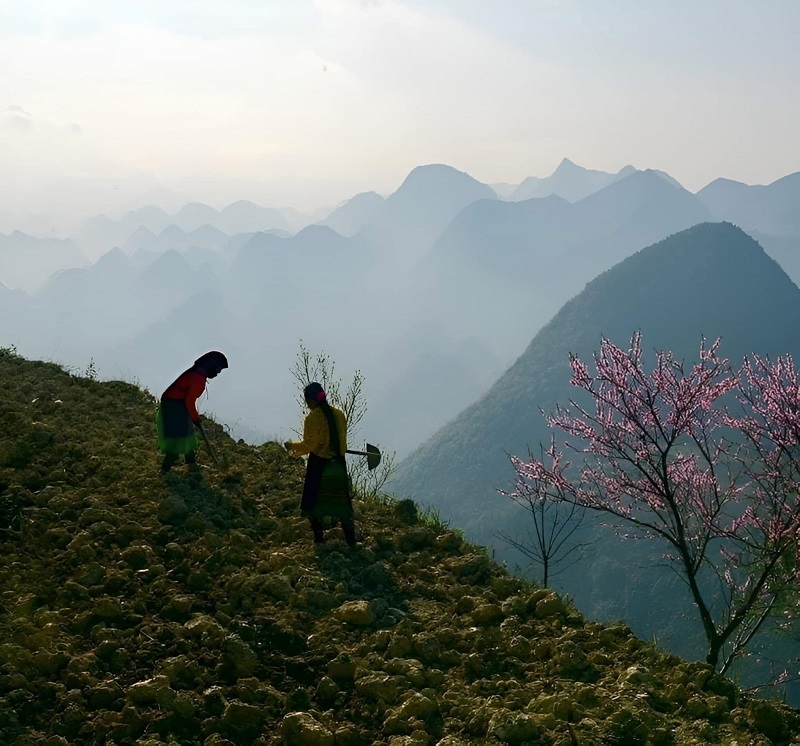 nhất định phải đi Hà Giang vào mùa xuân