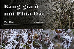 Đỉnh Phia Oắc xuất hiện hiện tượng băng giá, sương muối phủ trắng núi rừng