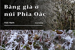 Đỉnh Phia Oắc xuất hiện hiện tượng băng giá, sương muối phủ trắng núi rừng