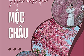 Netizen gợi ý 5 điểm ngắm hoa mai anh đào đẹp nhất Mộc Châu