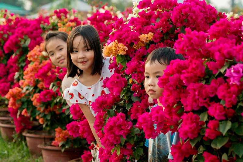 Làng hoa giấy Phú Sơn