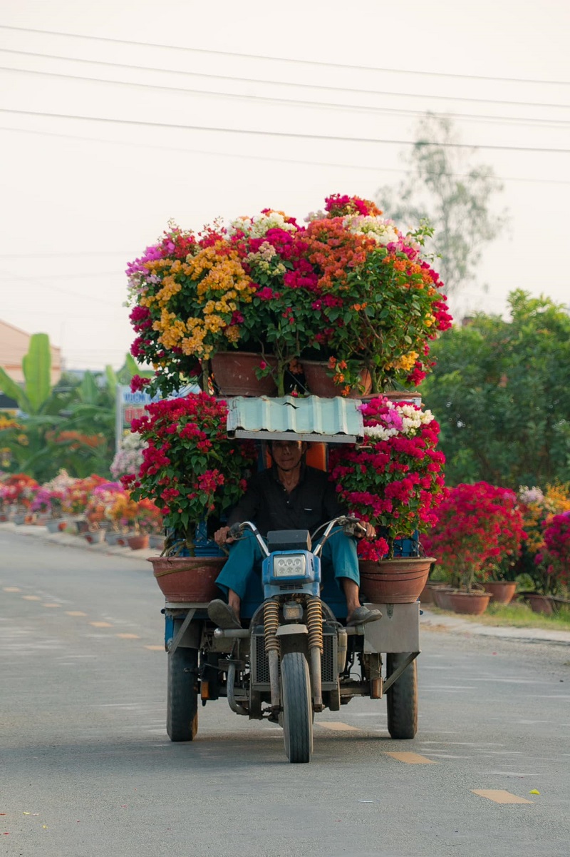 Làng hoa giấy Phú Sơn