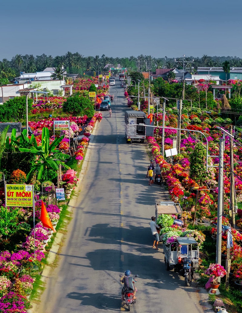 Làng hoa giấy Phú Sơn