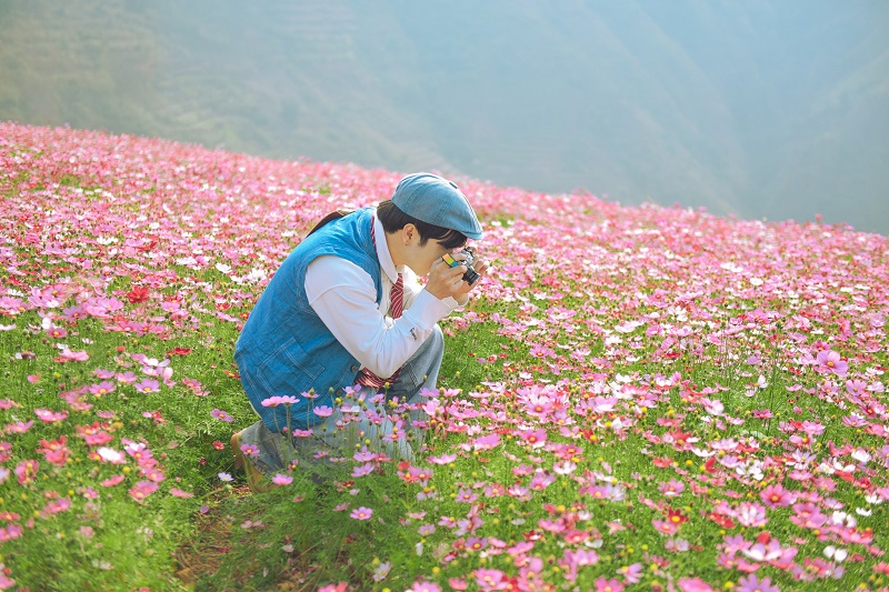 Thảo nguyên Tà Xùa vào mùa hoa cánh bướm