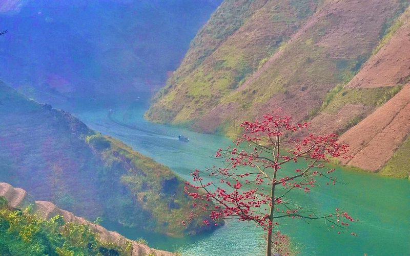 Những mùa hoa Tây Bắc