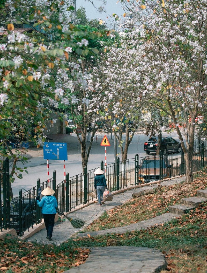 Những mùa hoa Tây Bắc