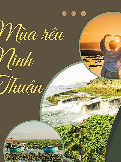 Tháng 3 đi Vĩnh Hy nhất định không được bỏ lỡ mùa rêu Ninh Thuận: Từ Hang Rái đến Từ Thiện, Hòn Đỏ...