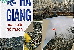 Đi Hà Giang ngắm hoa xuân nở muộn: Lịch trình tham khảo cho người đi lần đầu và lần thứ 2