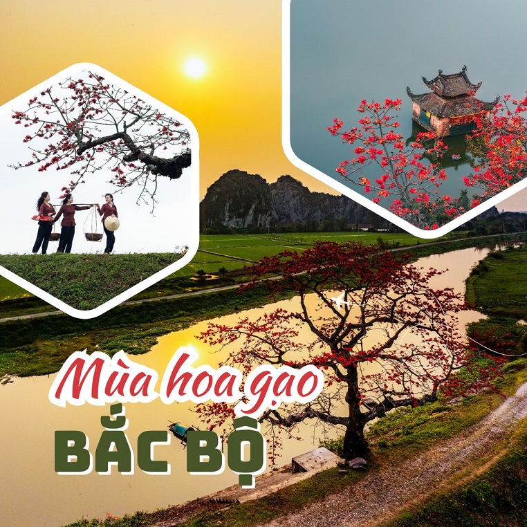 Mùa hoa gạo Bắc Bộ qua ống kính của các thành viên Check in Vietnam