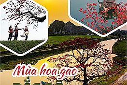 Mùa hoa gạo Bắc Bộ qua ống kính của các thành viên Check in Vietnam